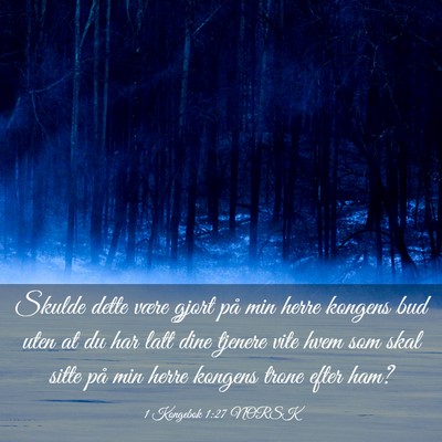 Picture 03 - 1 Kongebok 1:27 NORSK - Skulde dette være gjort på min herre kongens - Bible Verse Picture