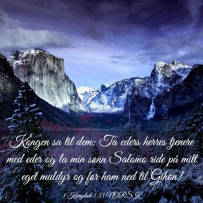 Picture 03 - 1 Kongebok 1:33 NORSK - Kongen sa til dem: Ta eders herres tjenere med - Bible Verse Picture