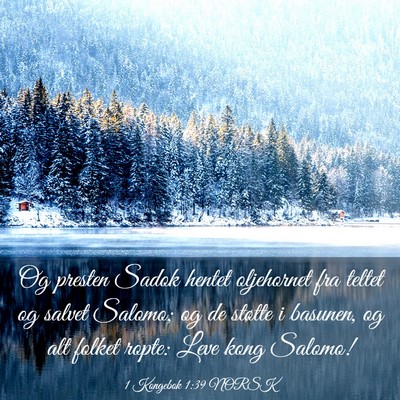 Picture 03 - 1 Kongebok 1:39 NORSK - Og presten Sadok hentet oljehornet fra teltet og - Bible Verse Picture