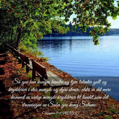 Picture 03 - 1 Kongebok 10:10 NORSK - Så gav hun kongen hundre og tyve talenter gull - Bible Verse Picture