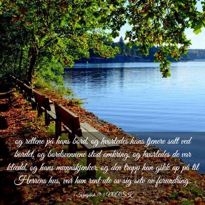 Picture 03 - 1 Kongebok 10:5 NORSK - og rettene på hans bord, og hvorledes hans - Bible Verse Picture