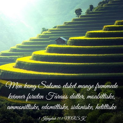 Picture 03 - 1 Kongebok 11:1 NORSK - Men kong Salomo elsket mange fremmede kvinner - Bible Verse Picture