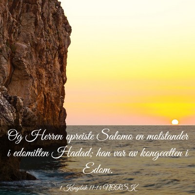 Picture 03 - 1 Kongebok 11:14 NORSK - Og Herren opreiste Salomo en motstander i - Bible Verse Picture