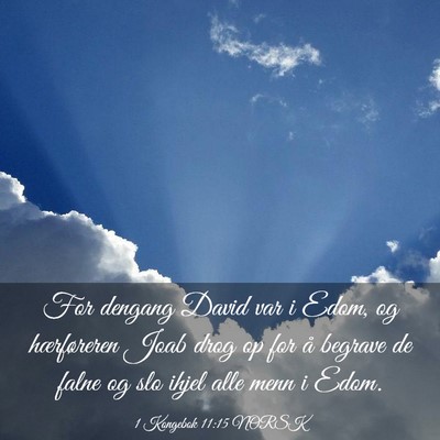 Picture 03 - 1 Kongebok 11:15 NORSK - For dengang David var i Edom, og hærføreren - Bible Verse Picture