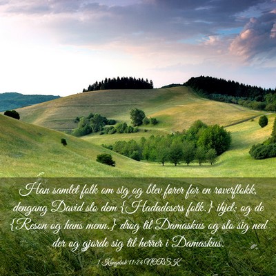 Picture 03 - 1 Kongebok 11:24 NORSK - Han samlet folk om sig og blev fører for en - Bible Verse Picture