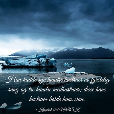 Picture 03 - 1 Kongebok 11:3 NORSK - Han hadde syv hundre hustruer av fyrstelig rang - Bible Verse Picture
