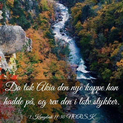 Picture 03 - 1 Kongebok 11:30 NORSK - Da tok Akia den nye kappe han hadde på, og rev - Bible Verse Picture