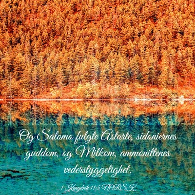 Picture 03 - 1 Kongebok 11:5 NORSK - Og Salomo fulgte Astarte, sidoniernes guddom, og - Bible Verse Picture