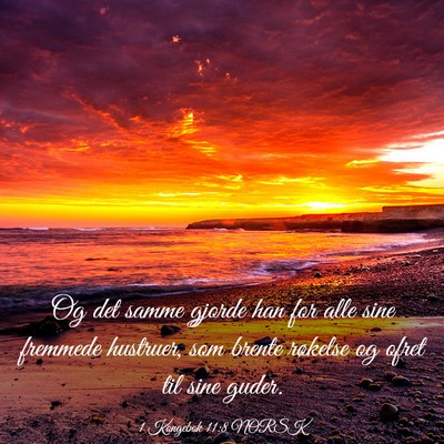 Picture 03 - 1 Kongebok 11:8 NORSK - Og det samme gjorde han for alle sine fremmede - Bible Verse Picture