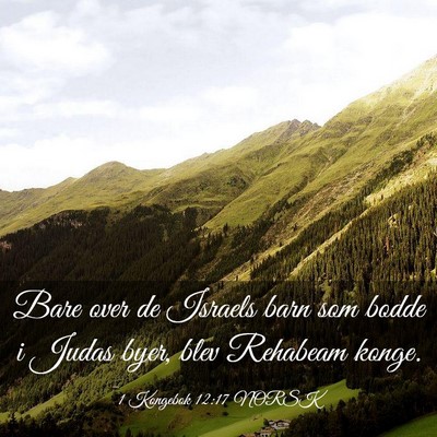 Picture 03 - 1 Kongebok 12:17 NORSK - Bare over de Israels barn som bodde i Judas byer, - Bible Verse Picture