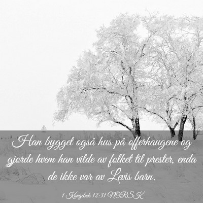Picture 03 - 1 Kongebok 12:31 NORSK - Han bygget også hus på offerhaugene og gjorde - Bible Verse Picture
