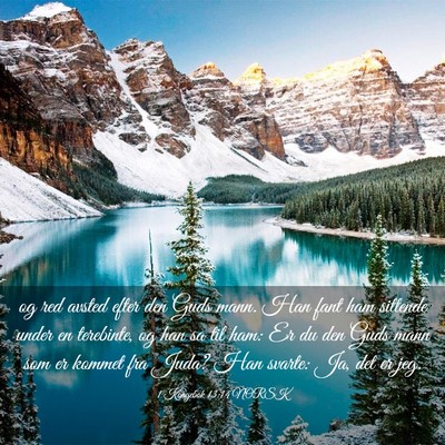Picture 03 - 1 Kongebok 13:14 NORSK - og red avsted efter den Guds mann. Han fant ham - Bible Verse Picture