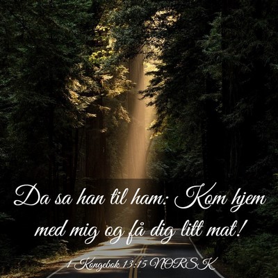 Picture 03 - 1 Kongebok 13:15 NORSK - Da sa han til ham: Kom hjem med mig og få dig - Bible Verse Picture
