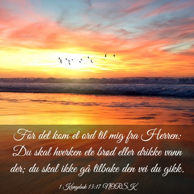 Picture 03 - 1 Kongebok 13:17 NORSK - For det kom et ord til mig fra Herren: Du skal - Bible Verse Picture
