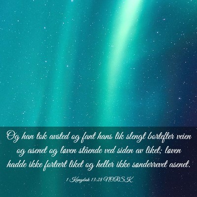 Picture 03 - 1 Kongebok 13:28 NORSK - Og han tok avsted og fant hans lik slengt - Bible Verse Picture