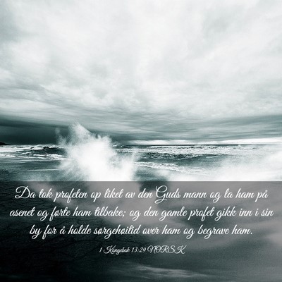 Picture 03 - 1 Kongebok 13:29 NORSK - Da tok profeten op liket av den Guds mann og la - Bible Verse Picture