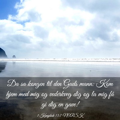 Picture 03 - 1 Kongebok 13:7 NORSK - Da sa kongen til den Guds mann: Kom hjem med mig - Bible Verse Picture