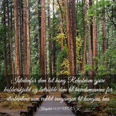 Picture 03 - 1 Kongebok 14:27 NORSK - Istedenfor dem lot kong Rehabeam gjøre - Bible Verse Picture