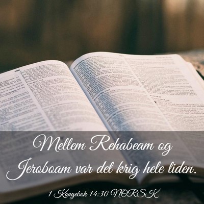 Picture 03 - 1 Kongebok 14:30 NORSK - Mellem Rehabeam og Jeroboam var det krig hele - Bible Verse Picture