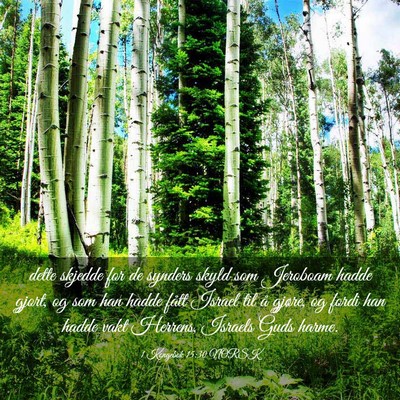 Picture 03 - 1 Kongebok 15:30 NORSK - dette skjedde for de synders skyld som Jeroboam - Bible Verse Picture