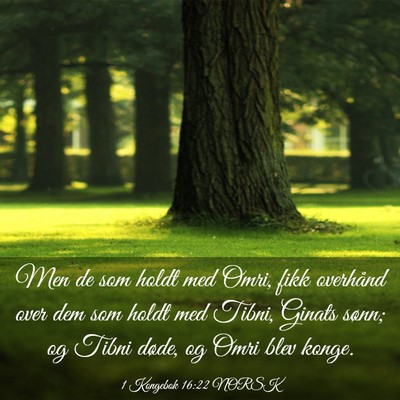 Picture 03 - 1 Kongebok 16:22 NORSK - Men de som holdt med Omri, fikk overhånd over - Bible Verse Picture