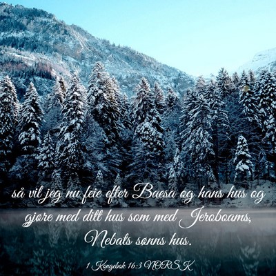 Picture 03 - 1 Kongebok 16:3 NORSK - så vil jeg nu feie efter Baesa og hans hus og - Bible Verse Picture