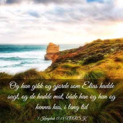 Picture 03 - 1 Kongebok 17:15 NORSK - Og hun gikk og gjorde som Elias hadde sagt, og de - Bible Verse Picture