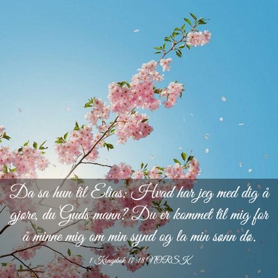 Picture 03 - 1 Kongebok 17:18 NORSK - Da sa hun til Elias: Hvad har jeg med dig å - Bible Verse Picture