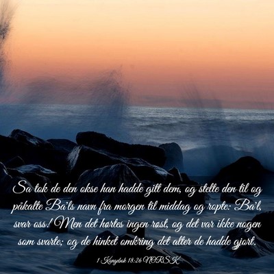 Picture 03 - 1 Kongebok 18:26 NORSK - Sa tok de den okse han hadde gitt dem, og stelte - Bible Verse Picture