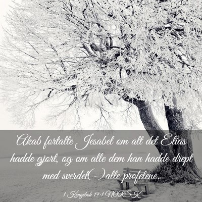 Picture 03 - 1 Kongebok 19:1 NORSK - Akab fortalte Jesabel om alt det Elias hadde - Bible Verse Picture