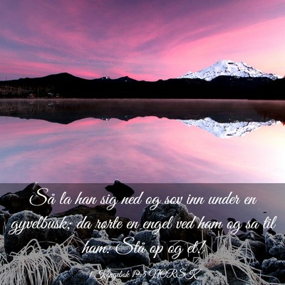 Picture 03 - 1 Kongebok 19:5 NORSK - Så la han sig ned og sov inn under en gyvelbusk; - Bible Verse Picture