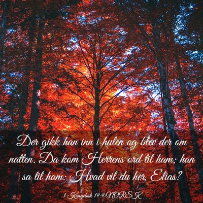 Picture 03 - 1 Kongebok 19:9 NORSK - Der gikk han inn i hulen og blev der om natten. - Bible Verse Picture
