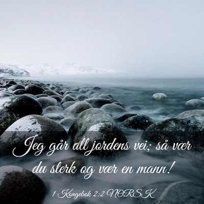 Picture 03 - 1 Kongebok 2:2 NORSK - Jeg går all jordens vei; så vær du sterk og - Bible Verse Picture
