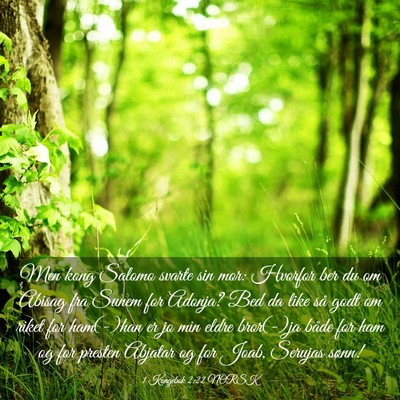 Picture 03 - 1 Kongebok 2:22 NORSK - Men kong Salomo svarte sin mor: Hvorfor ber du om - Bible Verse Picture