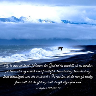 Picture 03 - 1 Kongebok 2:3 NORSK - Og ta vare på hvad Herren din Gud vil ha - Bible Verse Picture