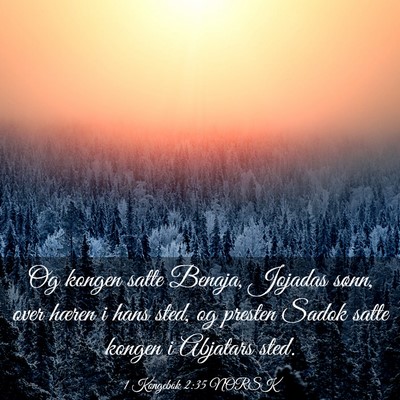 Picture 03 - 1 Kongebok 2:35 NORSK - Og kongen satte Benaja, Jojadas sønn, over - Bible Verse Picture