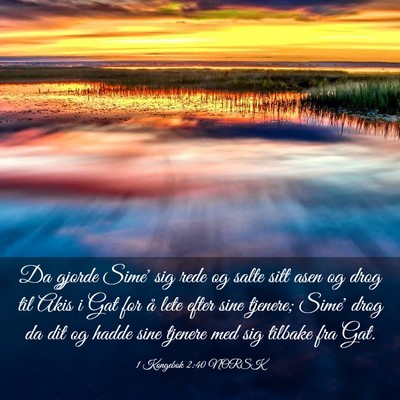 Picture 03 - 1 Kongebok 2:40 NORSK - Da gjorde Sime' sig rede og salte sitt asen og - Bible Verse Picture