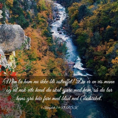 Picture 03 - 1 Kongebok 2:9 NORSK - Men la ham nu ikke bli ustraffet! Du er en vis - Bible Verse Picture