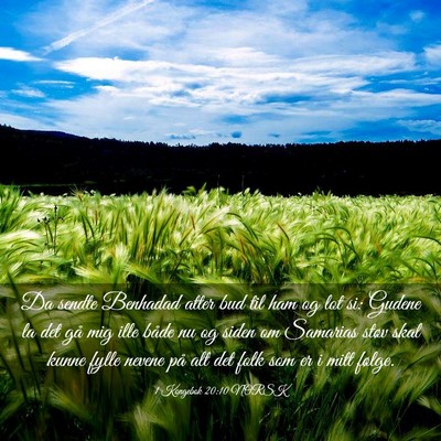 Picture 03 - 1 Kongebok 20:10 NORSK - Da sendte Benhadad atter bud til ham og lot si: - Bible Verse Picture
