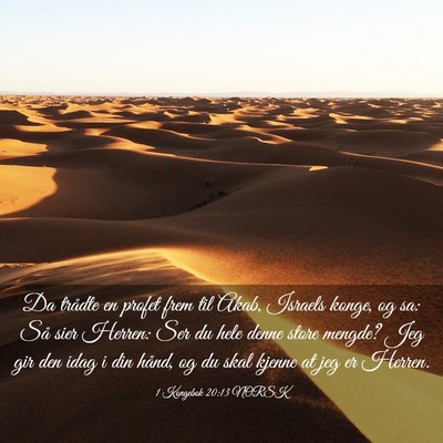 Picture 03 - 1 Kongebok 20:13 NORSK - Da trådte en profet frem til Akab, Israels - Bible Verse Picture