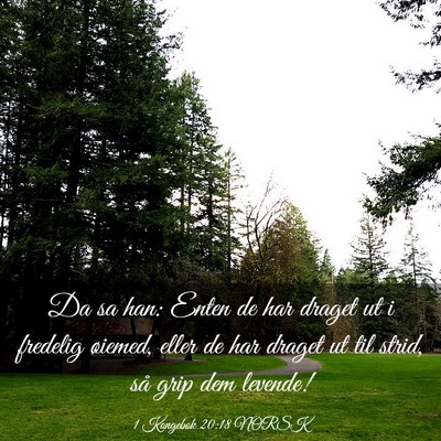 Picture 03 - 1 Kongebok 20:18 NORSK - Da sa han: Enten de har draget ut i fredelig - Bible Verse Picture