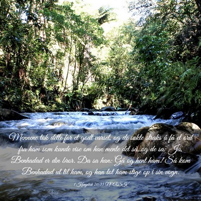 Picture 03 - 1 Kongebok 20:33 NORSK - Mennene tok dette for et godt varsel, og de - Bible Verse Picture