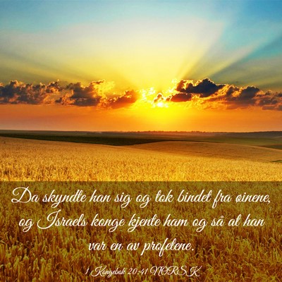 Picture 03 - 1 Kongebok 20:41 NORSK - Da skyndte han sig og tok bindet fra øinene, og - Bible Verse Picture