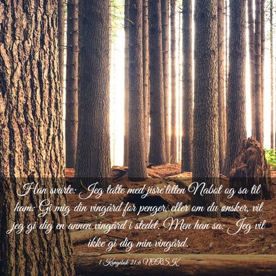 Picture 03 - 1 Kongebok 21:6 NORSK - Han svarte: Jeg talte med jisre'litten Nabot og - Bible Verse Picture