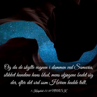 Picture 03 - 1 Kongebok 22:38 NORSK - Og da de skylte vognen i dammen ved Samaria, - Bible Verse Picture