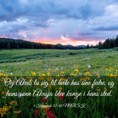 Picture 03 - 1 Kongebok 22:40 NORSK - Og Akab la sig til hvile hos sine fedre, og hans - Bible Verse Picture