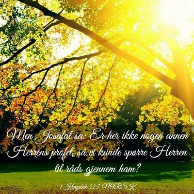 Picture 03 - 1 Kongebok 22:7 NORSK - Men Josafat sa: Er her ikke nogen annen Herrens - Bible Verse Picture