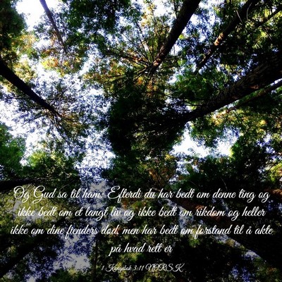 Picture 03 - 1 Kongebok 3:11 NORSK - Og Gud sa til ham: Efterdi du har bedt om denne - Bible Verse Picture