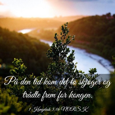 Picture 03 - 1 Kongebok 3:16 NORSK - På den tid kom det to skjøger og trådte frem - Bible Verse Picture