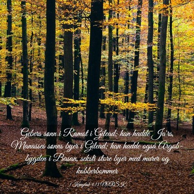 Picture 03 - 1 Kongebok 4:13 NORSK - Gebers sønn i Ramot i Gilead; han hadde Ja'rs, - Bible Verse Picture